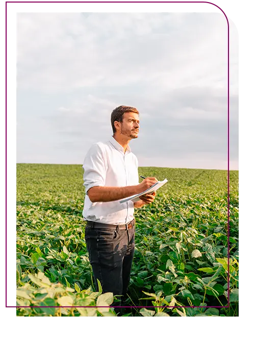 tecnico em agronegocio analisando plantação