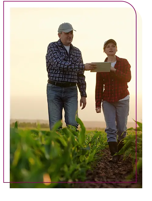 2 agricultores dento analisando plantação