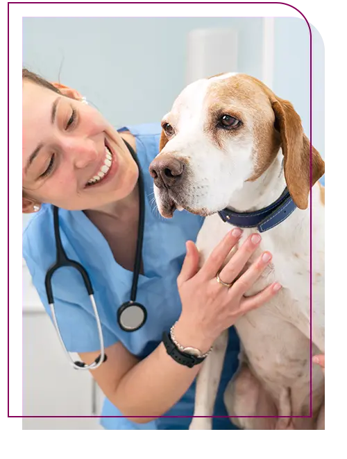 mulher veterinaria analisando um cachorro em sua mesa