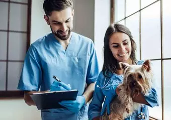 Medicina Veterinaria.jpg