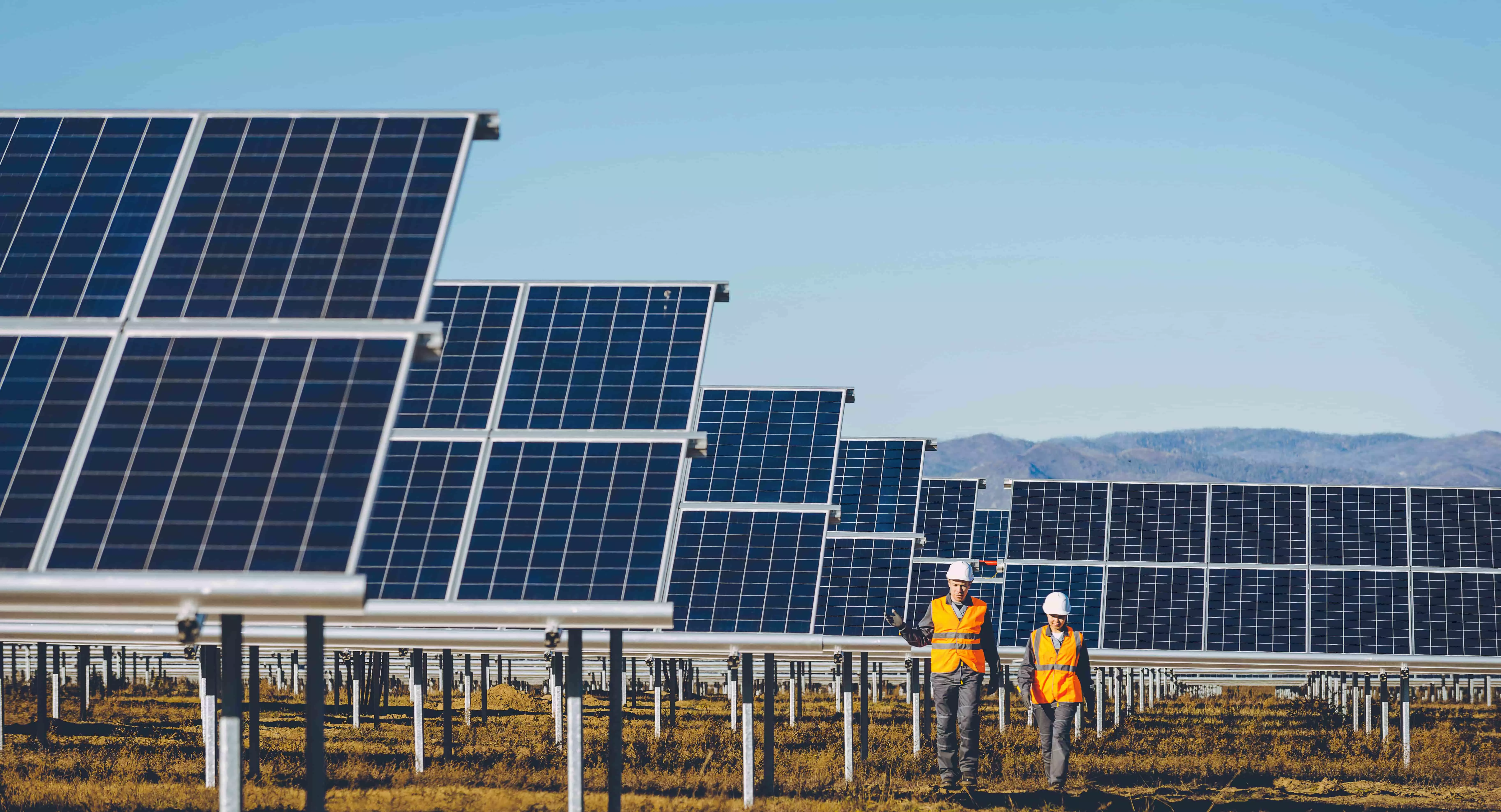 pos wyden energias renovaveis inscrições.webp